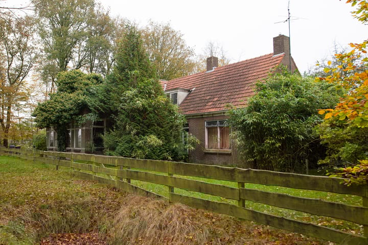 Foto 2 van Asserstraat 119