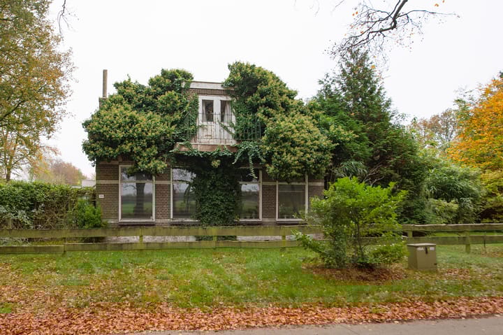 Foto 3 van Asserstraat 119