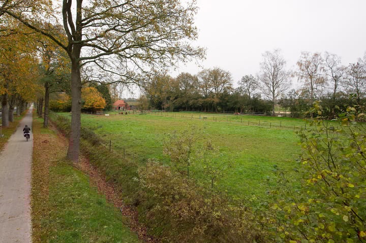 Foto 4 van Asserstraat 119