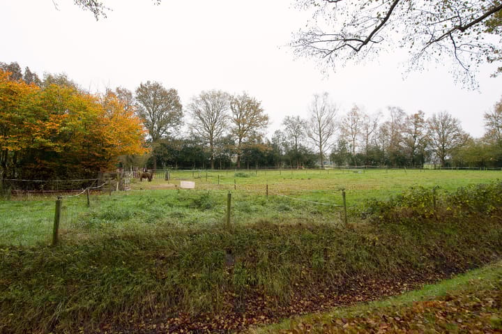 Foto 5 van Asserstraat 119