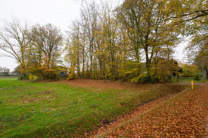 Foto 6 van Asserstraat 119