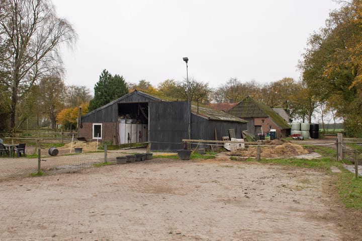 Foto 7 van Asserstraat 119