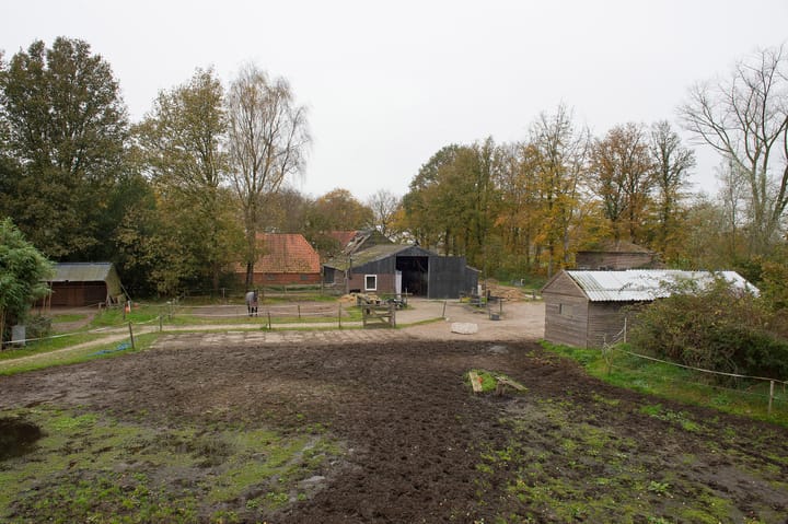 Foto 8 van Asserstraat 119