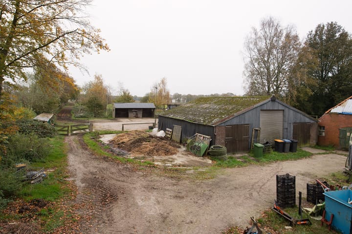 Foto 13 van Asserstraat 119