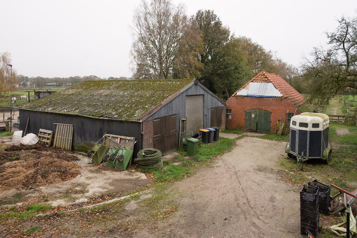 Foto 14 van Asserstraat 119