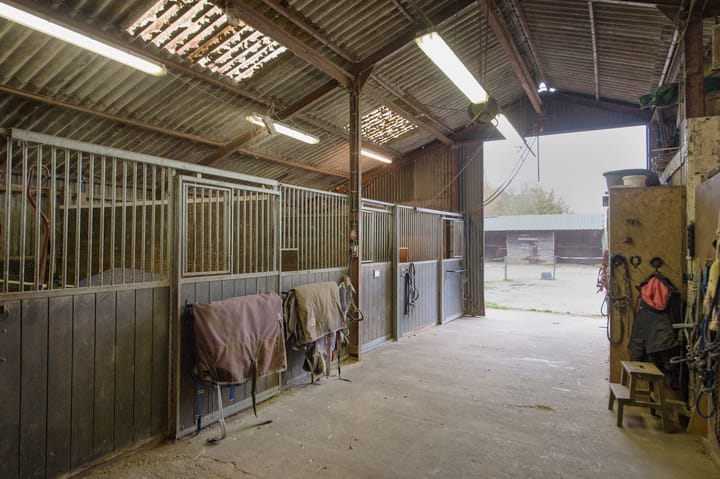 Foto 15 van Asserstraat 119