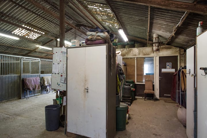 Foto 16 van Asserstraat 119