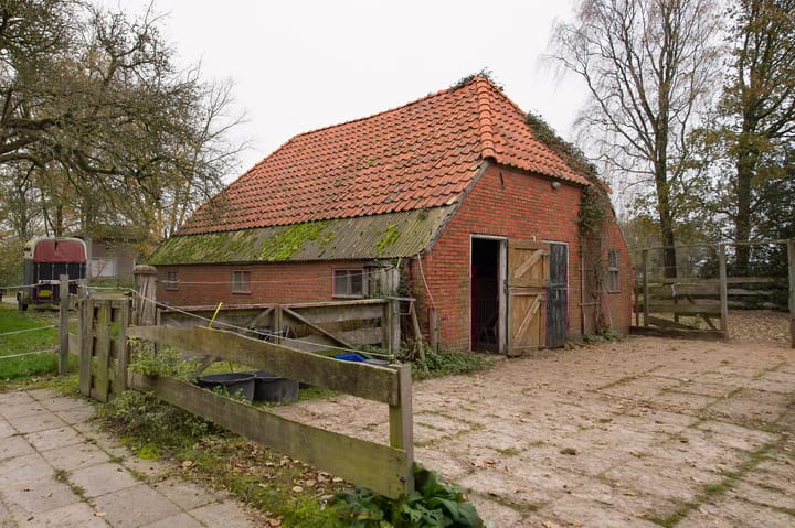 Foto 17 van Asserstraat 119