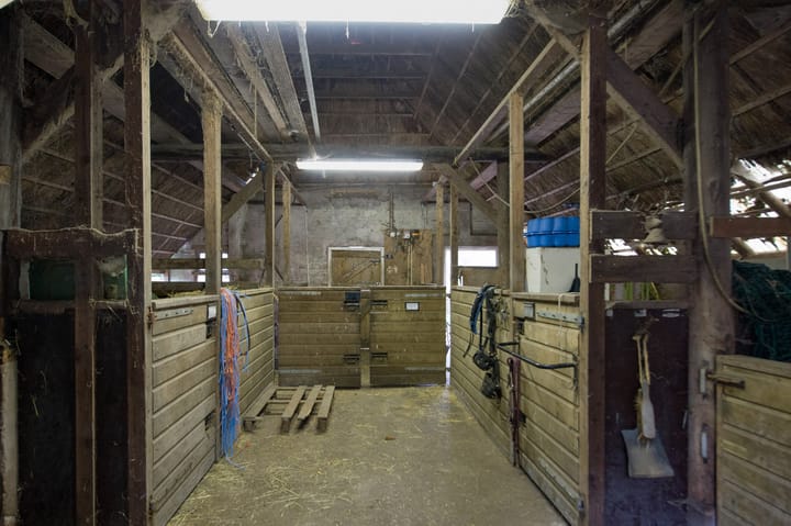 Foto 18 van Asserstraat 119