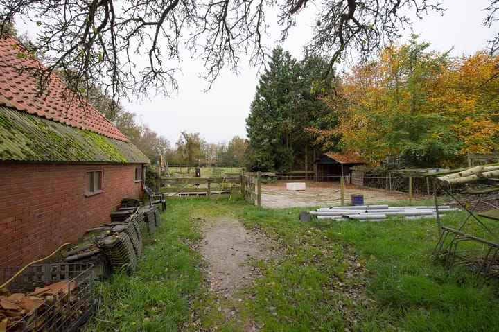 Foto 19 van Asserstraat 119