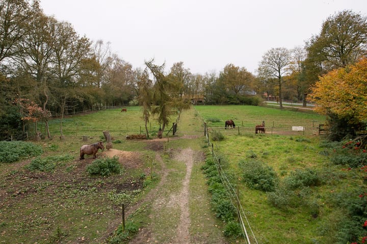 Foto 20 van Asserstraat 119