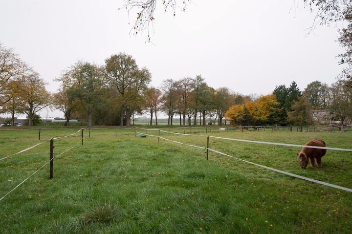 Foto 21 van Asserstraat 119