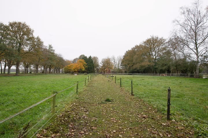 Foto 22 van Asserstraat 119