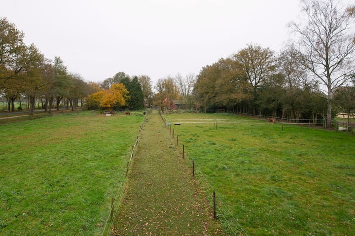 Foto 23 van Asserstraat 119