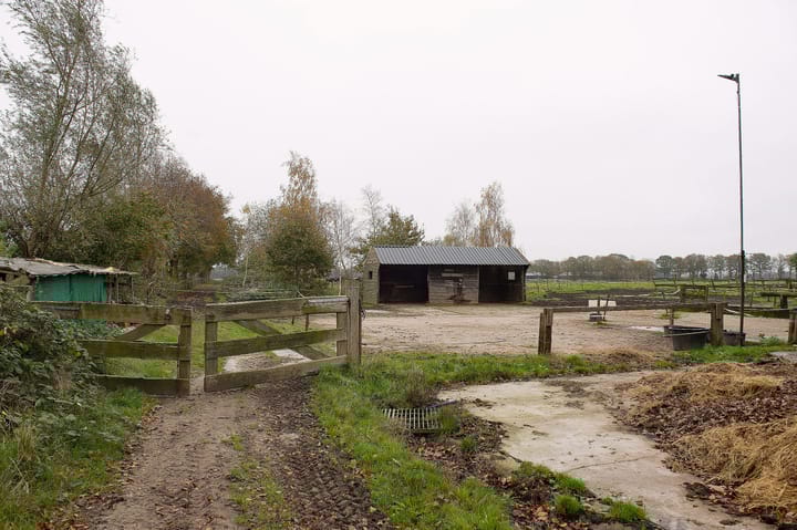 Foto 24 van Asserstraat 119