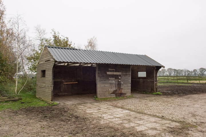 Foto 25 van Asserstraat 119