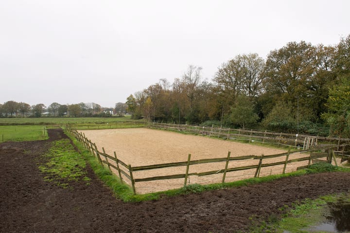 Foto 26 van Asserstraat 119