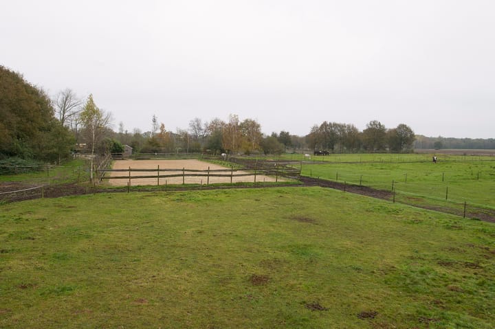 Foto 27 van Asserstraat 119