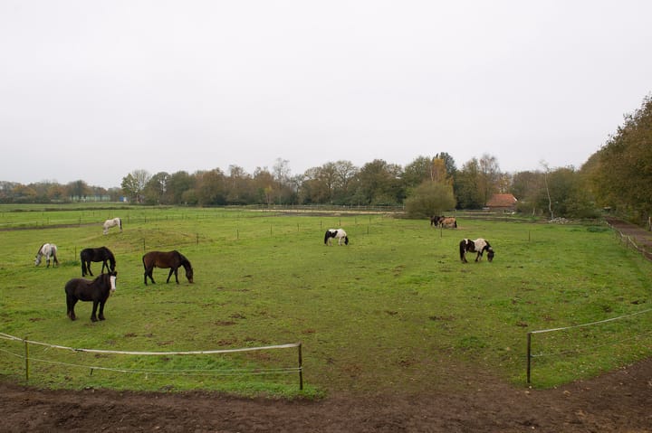 Foto 29 van Asserstraat 119