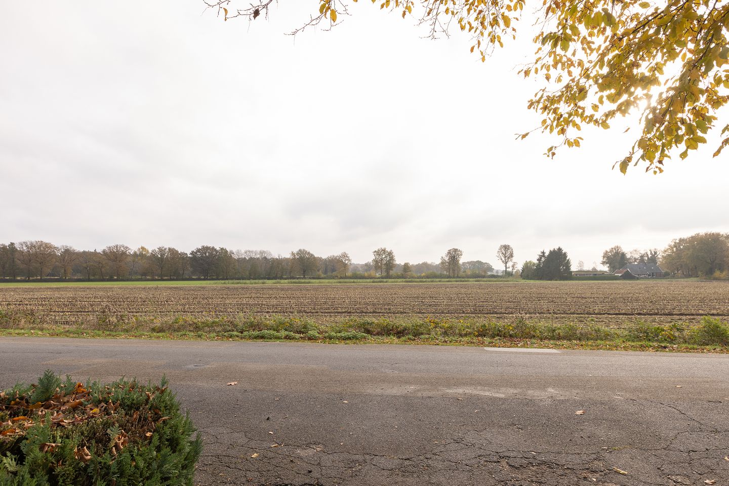 Foto 44 van Markveldsedijk 6