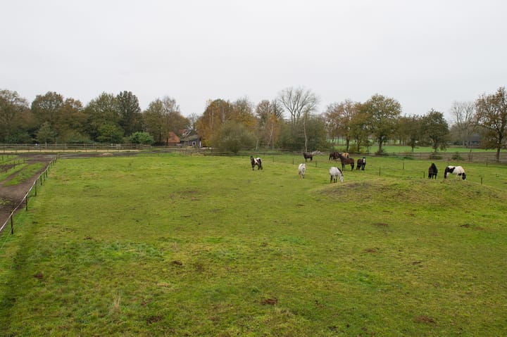 Foto 30 van Asserstraat 119