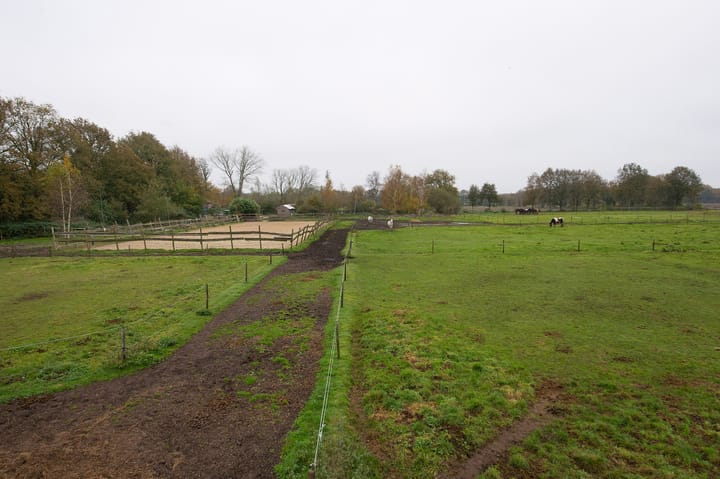 Foto 31 van Asserstraat 119