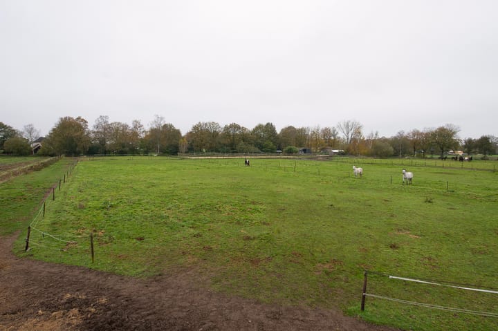 Foto 32 van Asserstraat 119