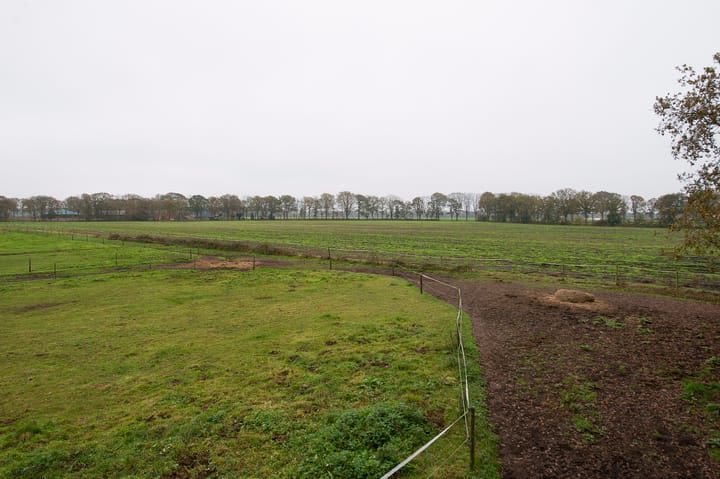 Foto 33 van Asserstraat 119