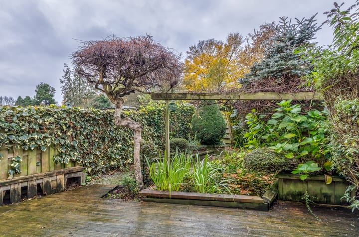 Foto 13 van Blauwgras 89