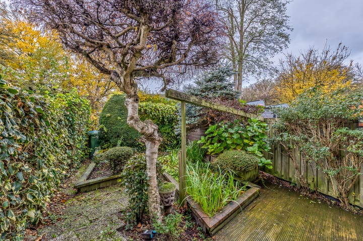 Foto 14 van Blauwgras 89