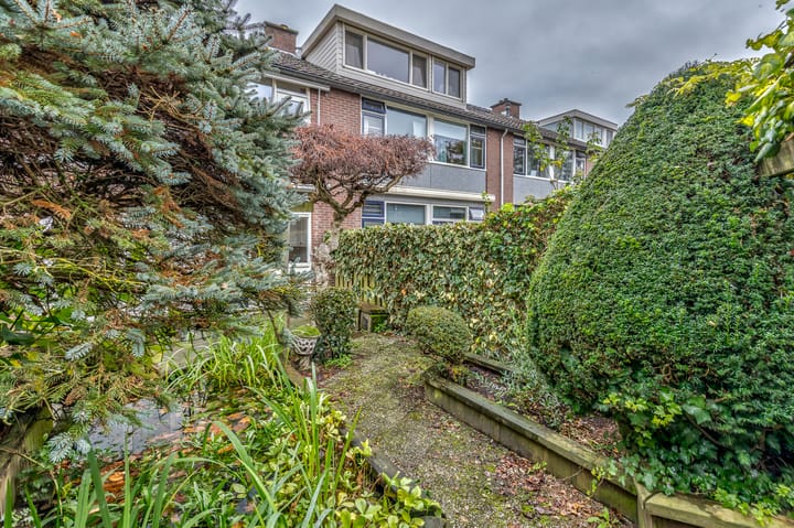 Foto 15 van Blauwgras 89