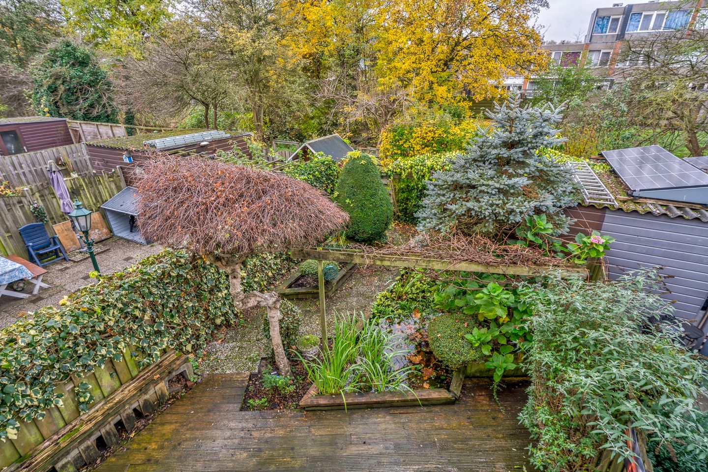 Foto 19 van Blauwgras 89