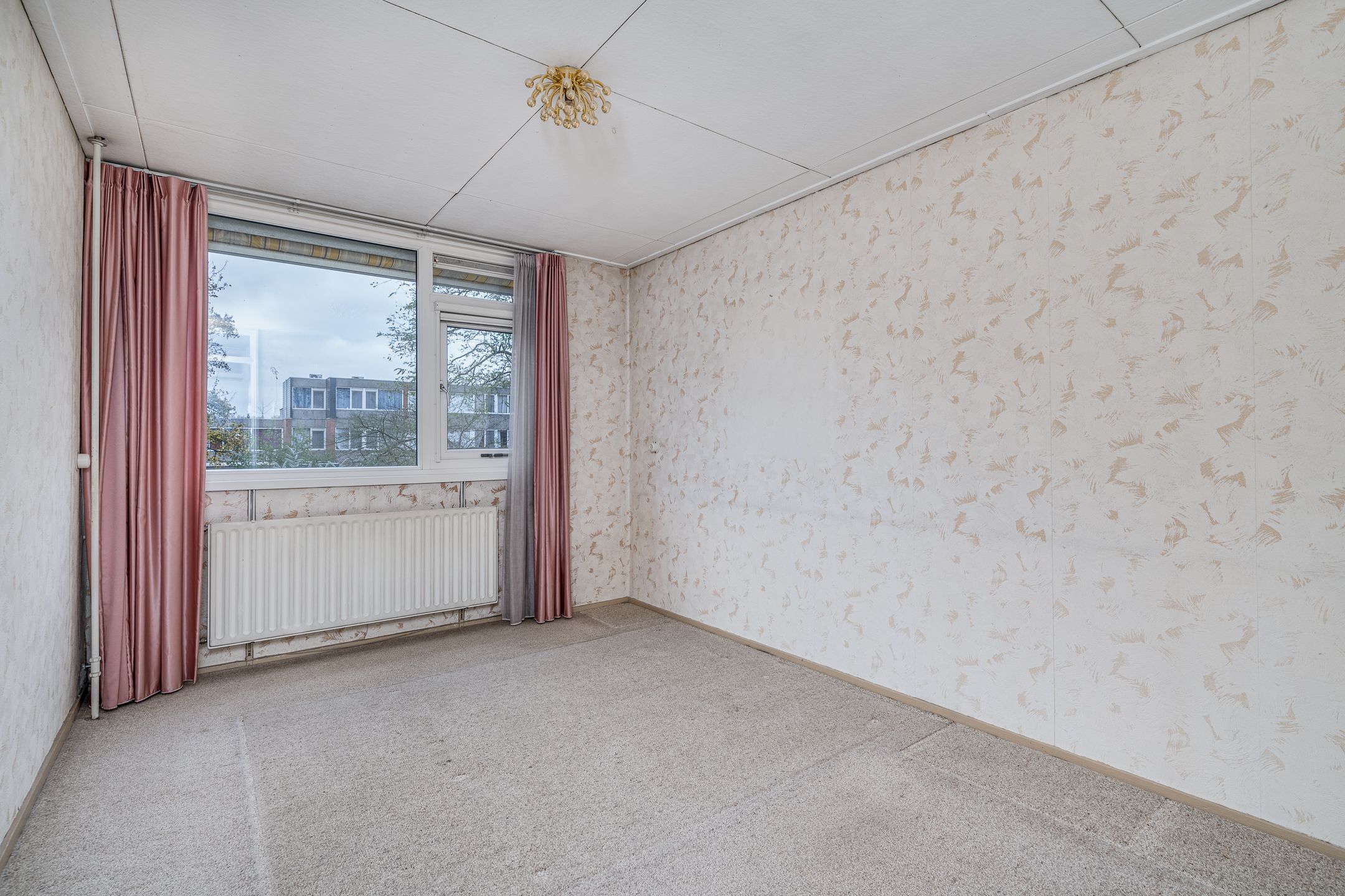 Foto 21 van Blauwgras 89