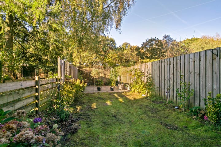 Foto 26 van Koelhorst 60