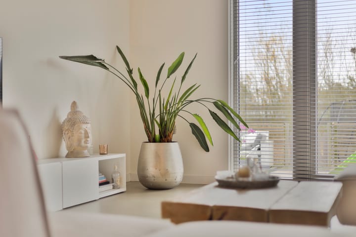 Foto 12 van Vossenzoom 275