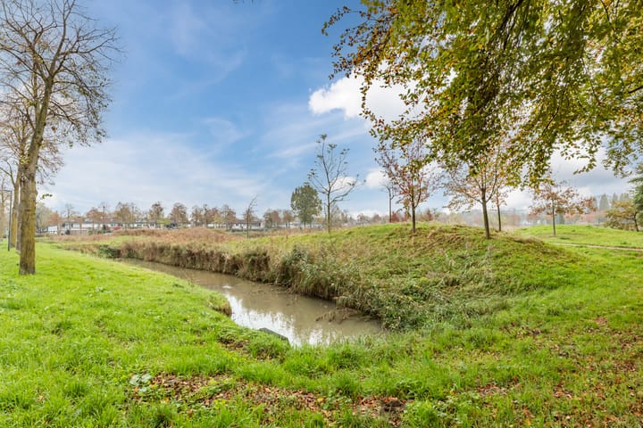 Foto 20 van Distelbeemd 13