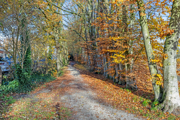 Photo 6 of Het Oldehof 3