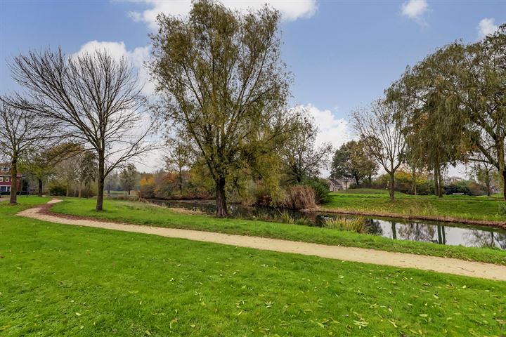 View photo 79 of Berkenpark 19