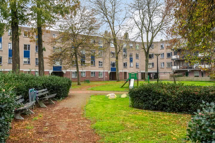 Foto 31 van Dalkruid 14