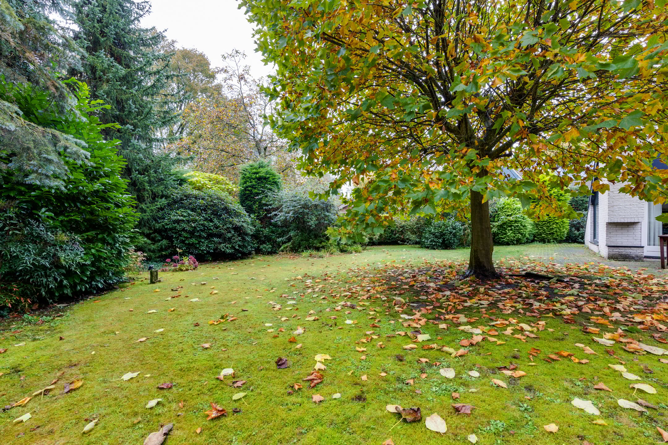 Foto 42 van Mallumse Molenweg 18