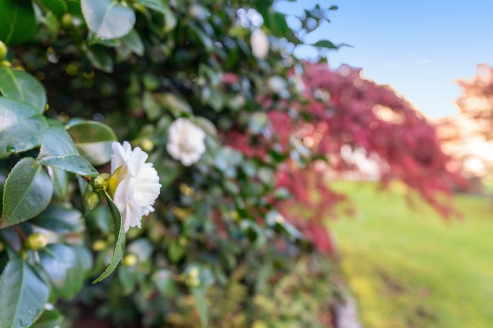 Foto 21 van Heigank 130