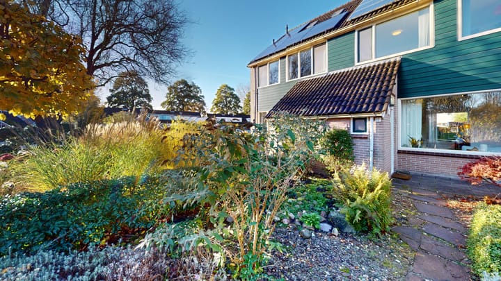 Foto 5 van Duiker 13