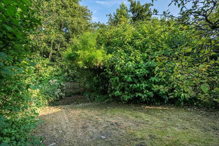 Foto 32 van Pieter-Christiaanstraat 8