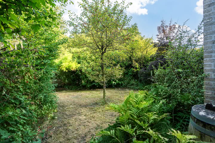 Foto 37 van Pieter-Christiaanstraat 8