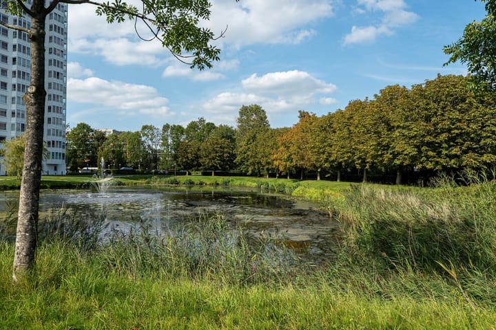 Foto 40 van Pieter-Christiaanstraat 8