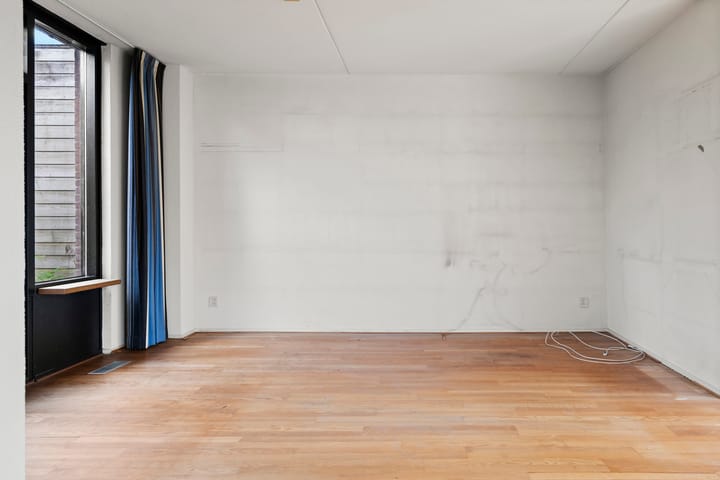 Foto 6 van Fluitekruid 8