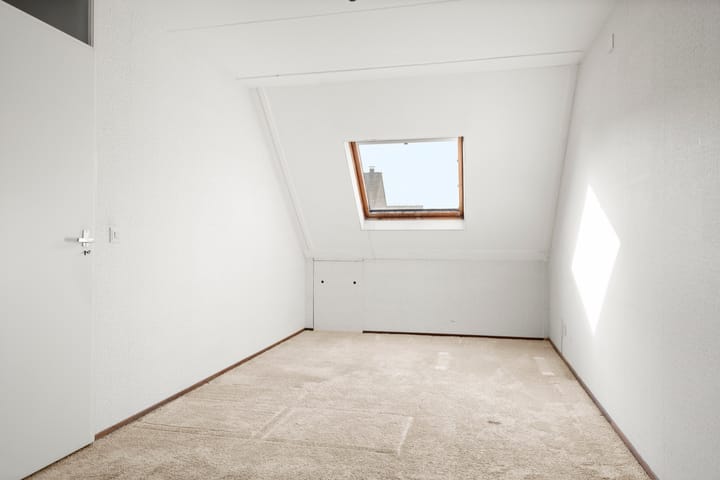 Foto 14 van Fluitekruid 8