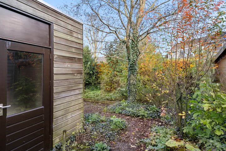 Foto 24 van Fluitekruid 8