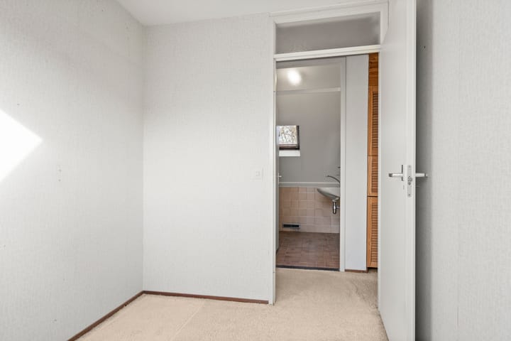 Foto 17 van Fluitekruid 8