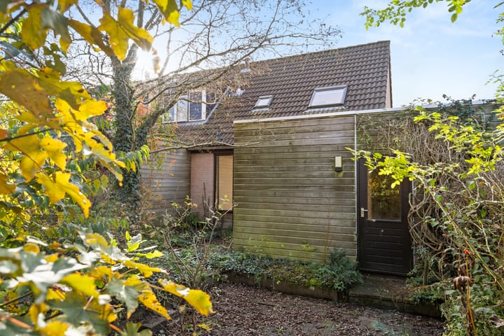 Foto 21 van Fluitekruid 8